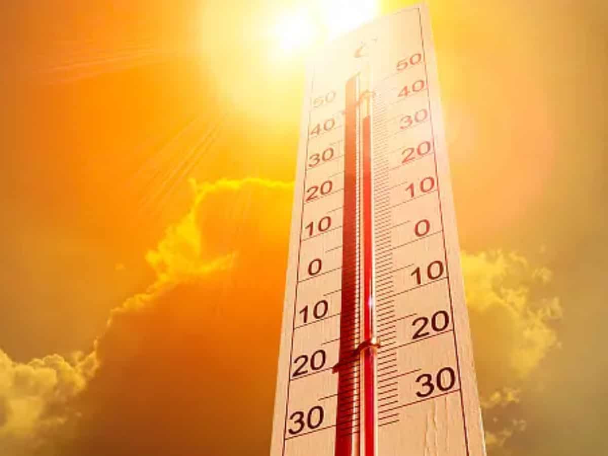 IMD warns of prolonged heatwave in North India, Delhi sizzles at 49 degrees