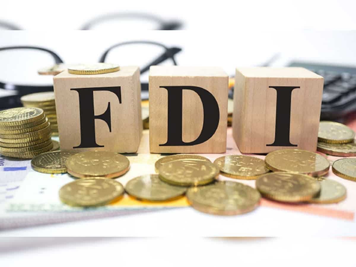 FDI inflows fall 3% to $44 billion in FY24