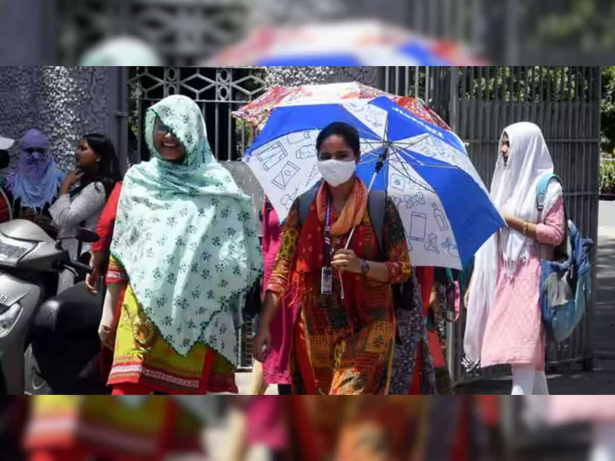Heatwave continues in Punjab, Haryana; Sirsa hottest at 49.1 degrees Celsius