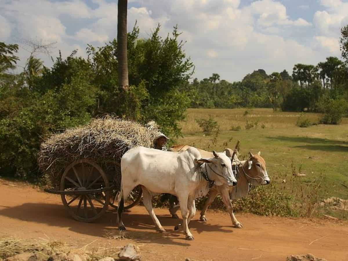 PM Kisan Yojana: 17th installment not be credited without eKYC