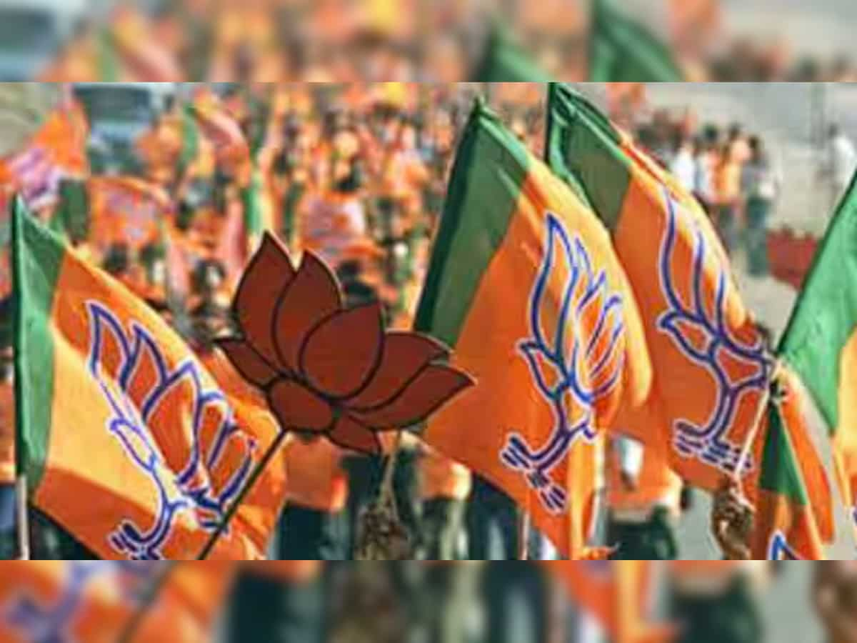 Lok Sabha Elections 2024: BJP releases list of candidates for June 13 MLC elections in Karnataka