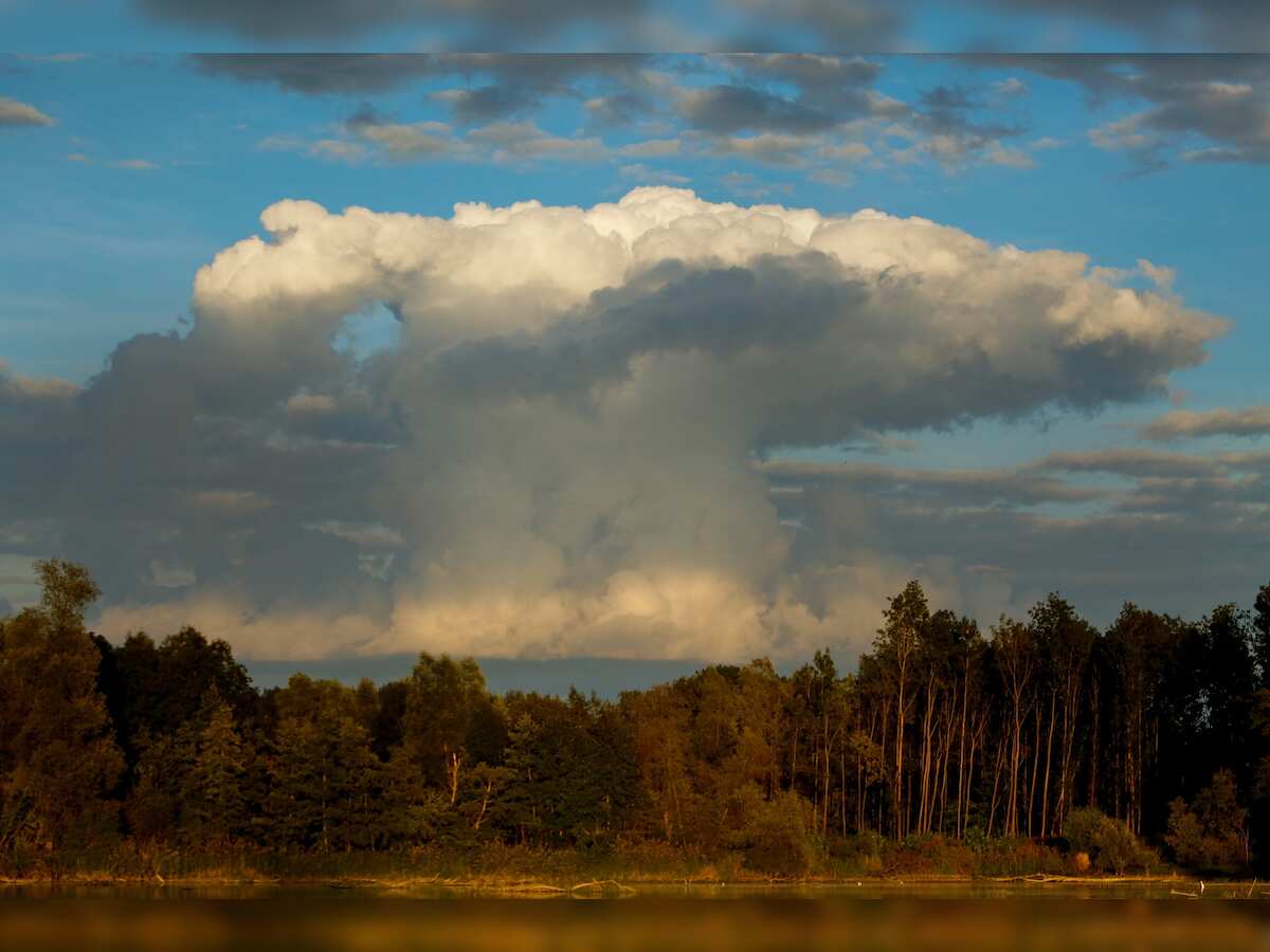 El Niño ending; at least 60% chance of La Niña developing during July-Sept: WMO