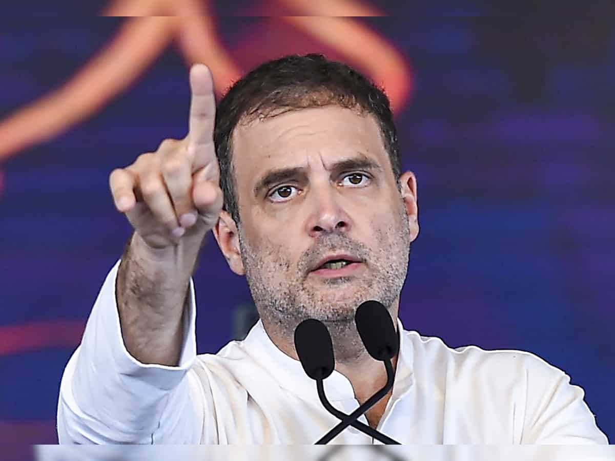 Lok Sabha Election Results 2024: Rahul Gandhi gains lead of over 2 lakh votes in Wayanad seat