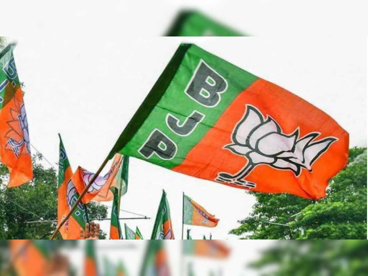 Lok Sabha Elections 2024: BJP extends lead to 21,996 votes in lone Lok Sabha seat in Andamans