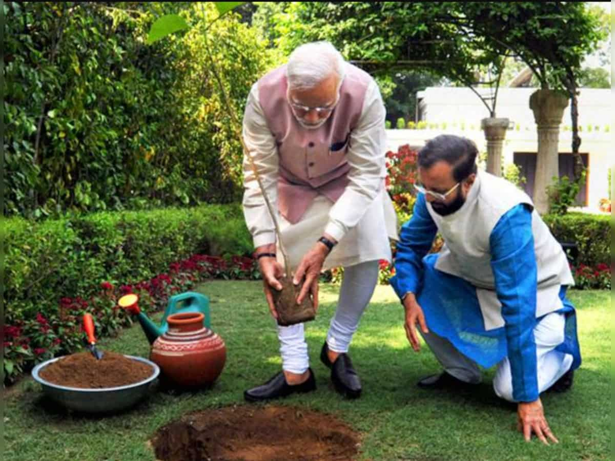 PM launches tree plantation campaign on World Environment Day 