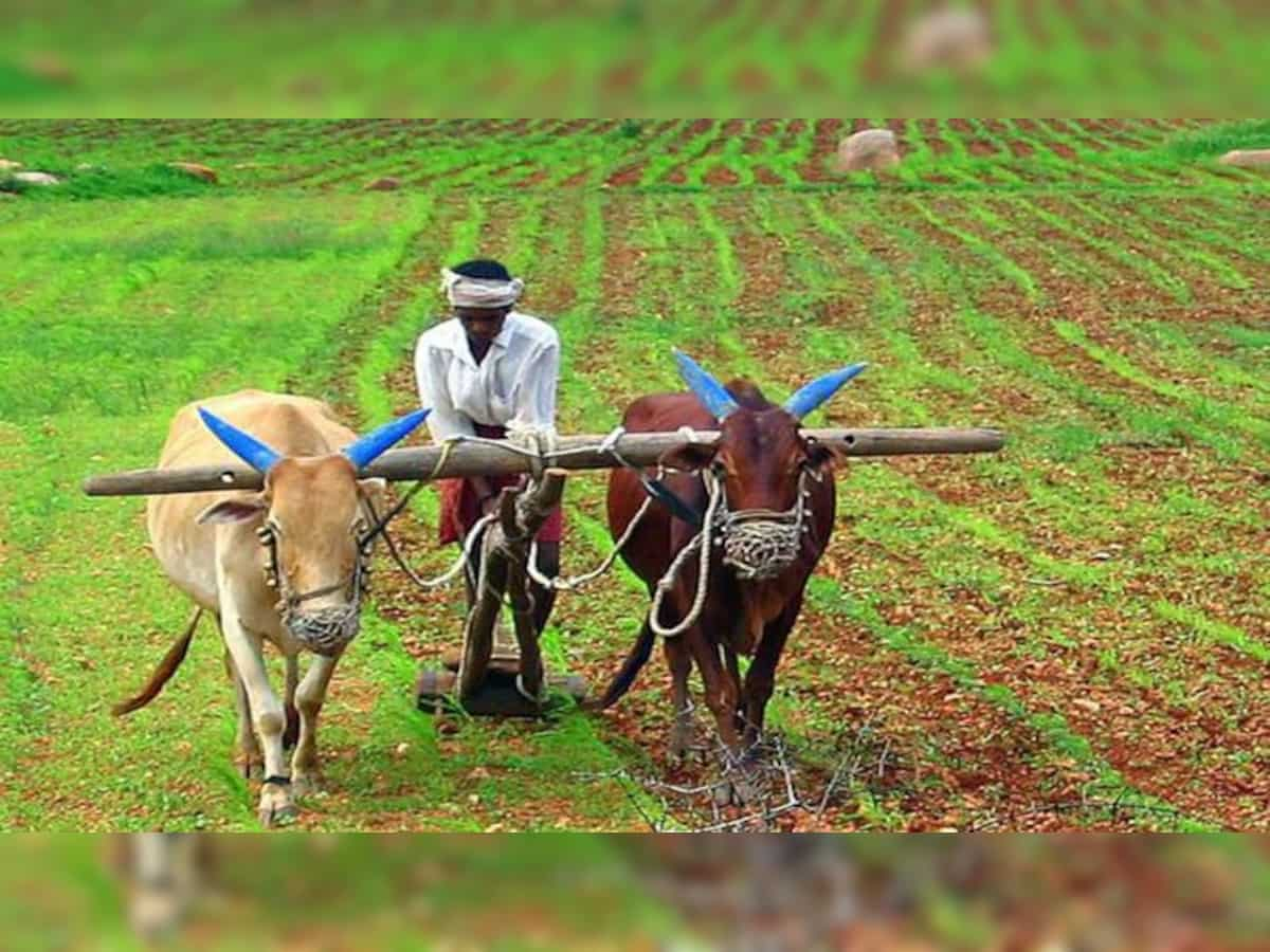 Rajasthan increases PM Kisan Samman Nidhi amount by Rs 2,000 