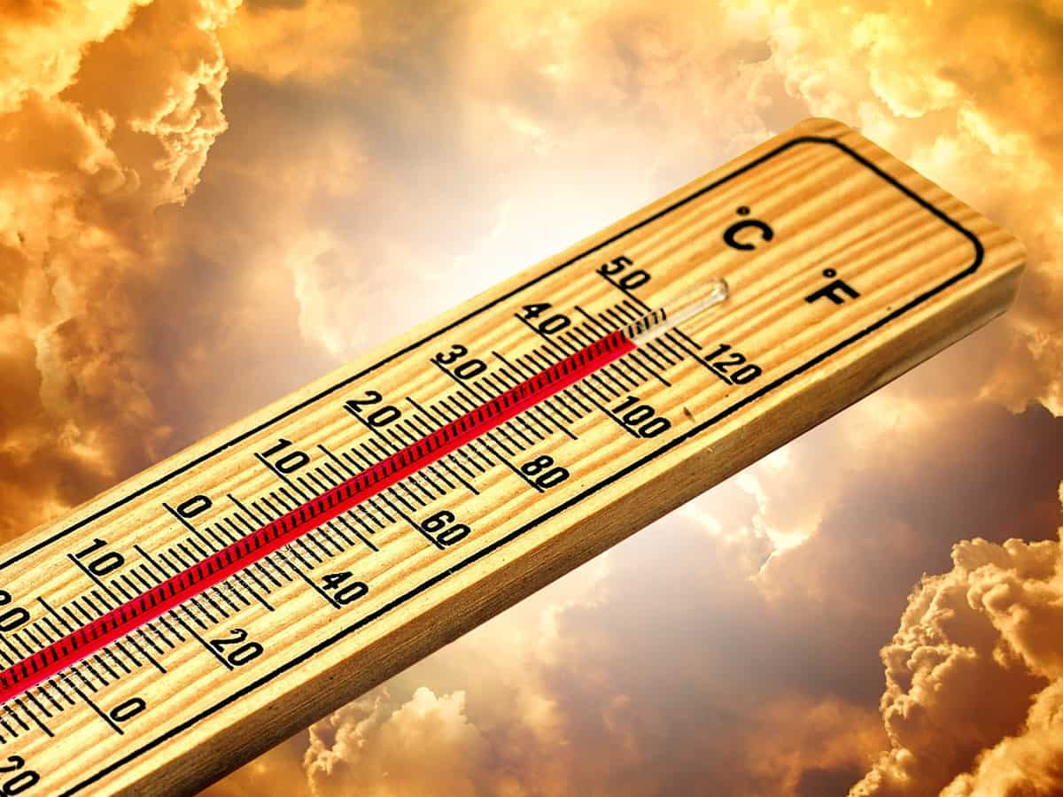 Delhi Weather News: Capital records maximum temperature of 41.4 degrees Celsius