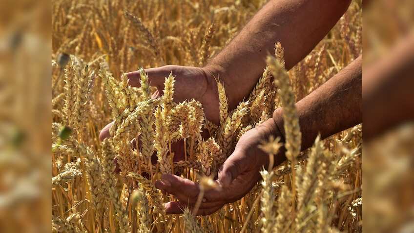 PM Kisan Yojana 2024: How to file complaint online if you don't get Rs 2,000 installment credited to your bank account