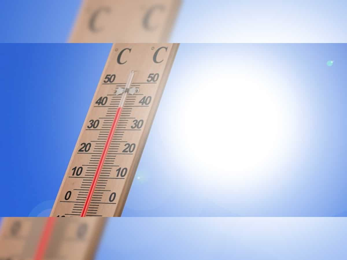 Hot weather conditions continue in Haryana, Punjab; Nuh reels at 45.9 degree Celsius