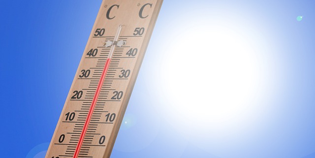 Hot weather conditions continue in Haryana, Punjab; Nuh reels at 45.9 degree Celsius
