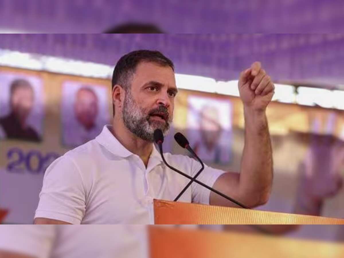 In dilemma on whether to retain Wayanad or Rae Bareli LS seat, says Rahul Gandhi