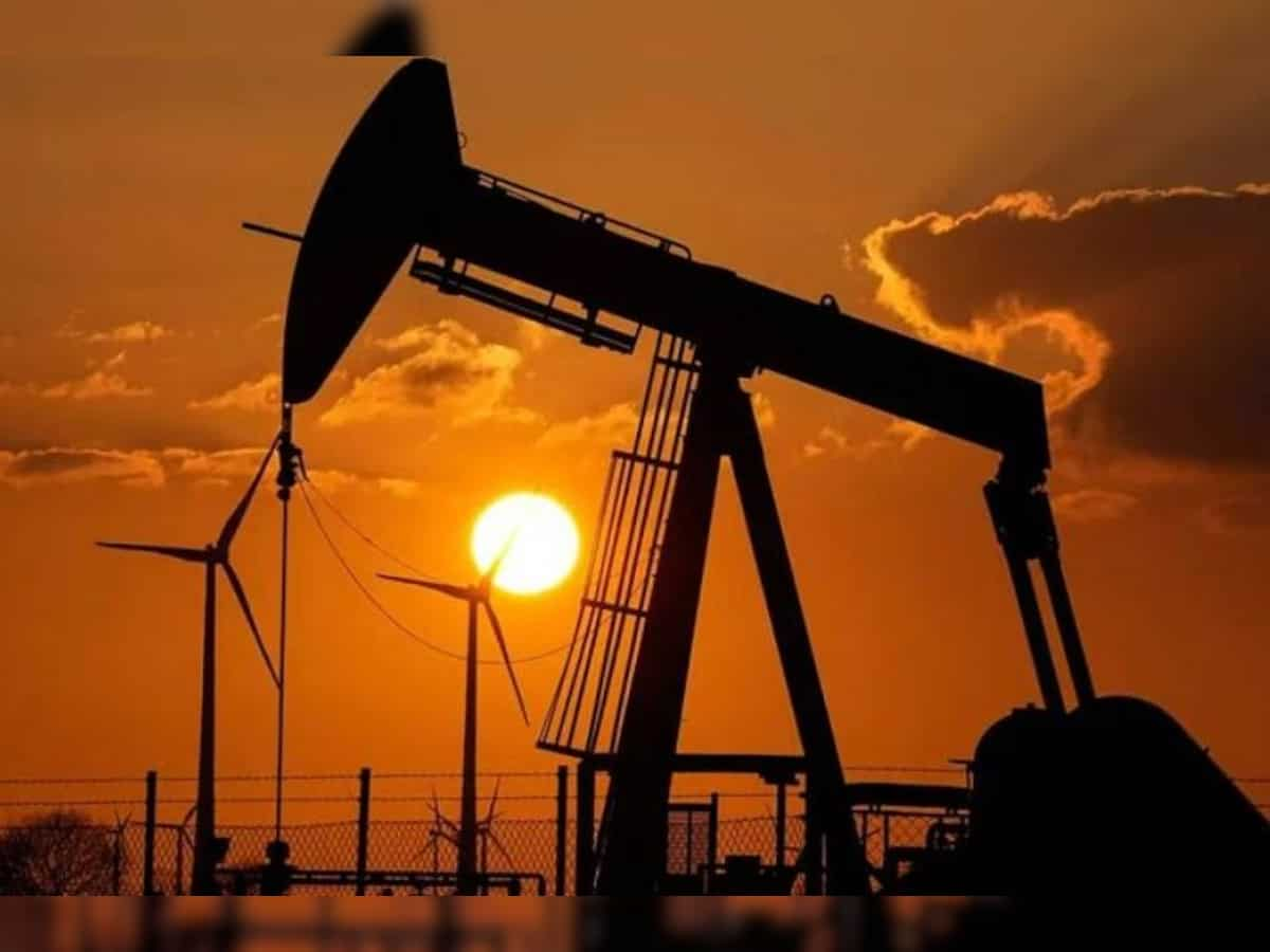 IEA's new outlook predicts era of abundant oil supply until 2030 for India