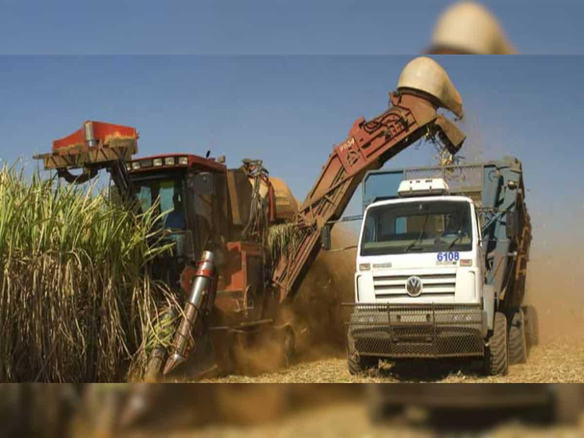 EID Perry, Shree Renuka Sugars, Balrampur Chini: Sugar stocks trade higher as sources say government is mulling MSP price rise