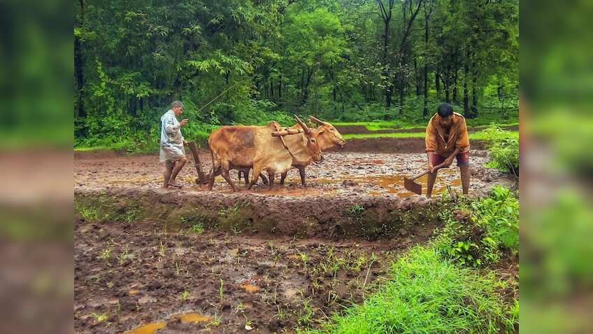 PM Kisan Yojana 17th installment date confirmed; PM Narendra Modi to release fund on this date | Check details
