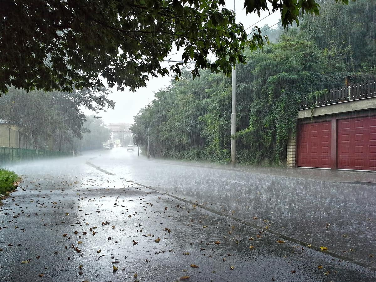 Light rain in parts of the Rajasthan bring respite from scorching heat