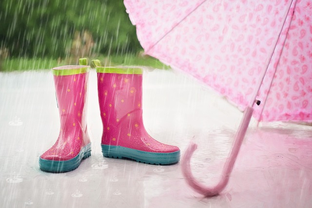 IMD predicts light to moderate rainfall in eastern,