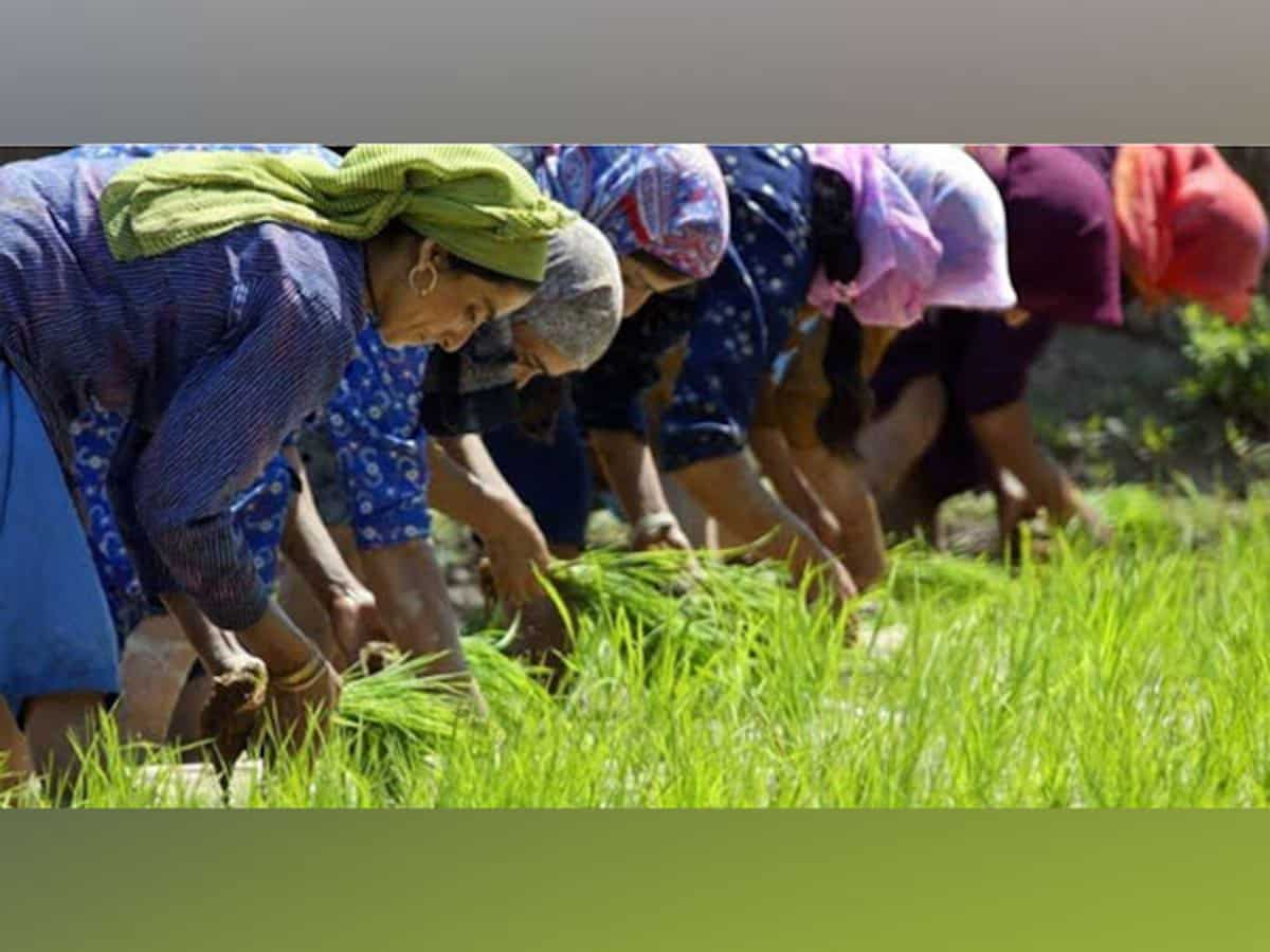 PM Modi to release 17th installment of PM Kisan scheme on Tuesday; here's how to check beneficiary status online and other key details