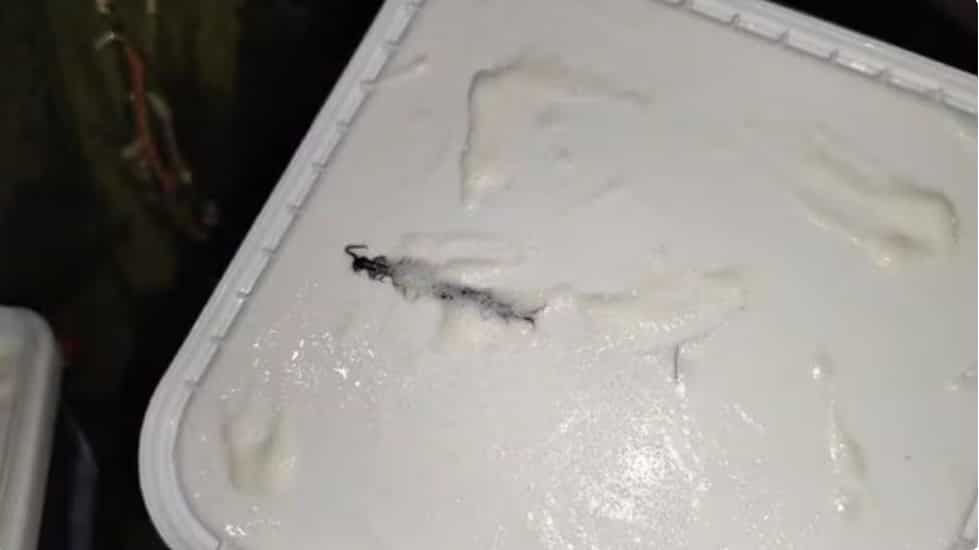 Amul seeks return of ice cream tub from Noida customer for investigation after centipede complaint