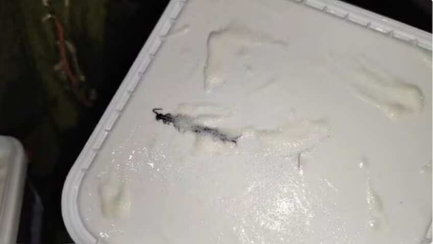 Amul seeks return of ice cream tub from Noida customer for investigation after centipede complaint