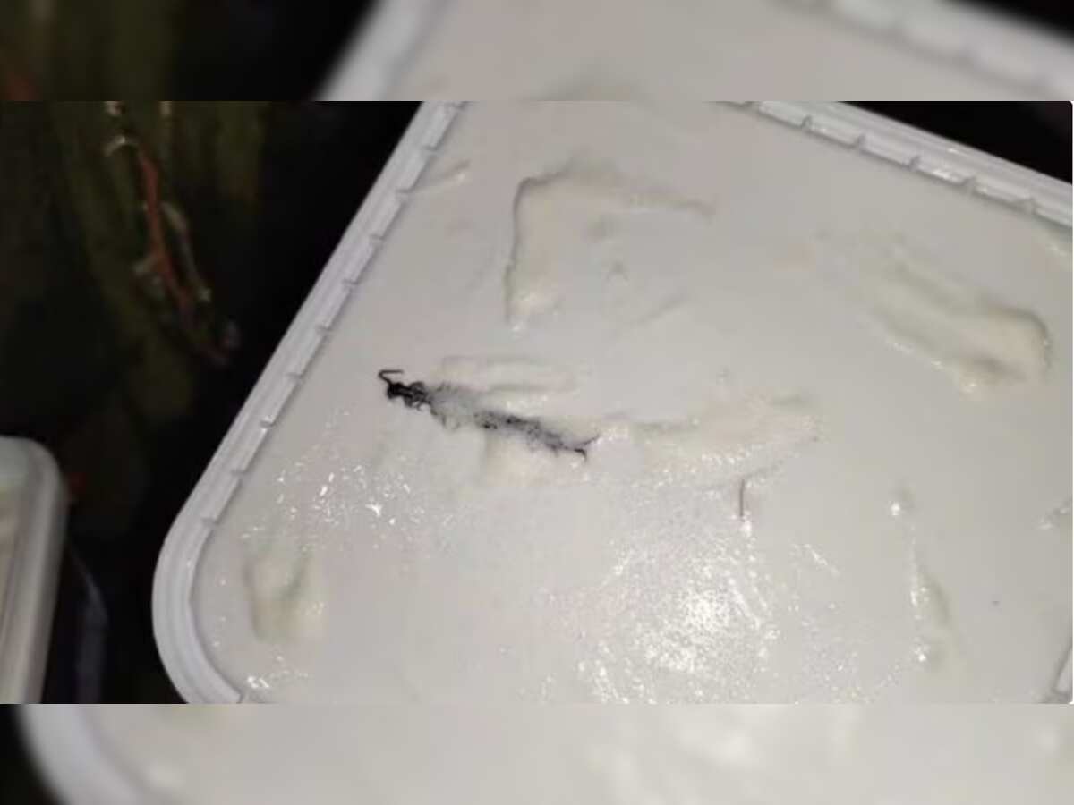 Amul seeks return of ice cream tub from Noida customer for investigation after centipede complaint