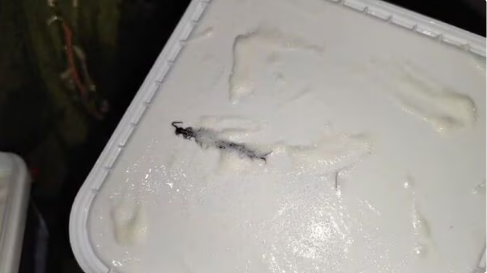 Amul seeks return of ice cream tub from Noida customer for investigation after centipede complaint