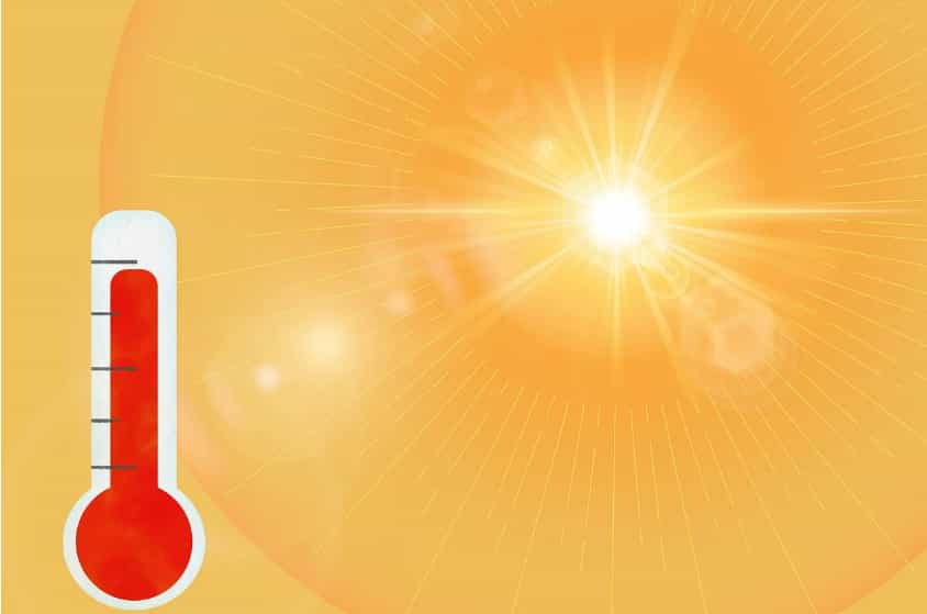 Heatwave tragedy in Delhi: 5 people died due to heatstroke; over 23 hospitalised in last 3 days