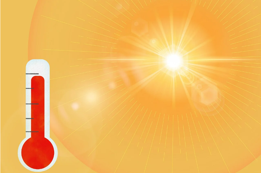 Heatwave tragedy in Delhi: 5 people died due to heatstroke; over 23 hospitalised in last 3 days