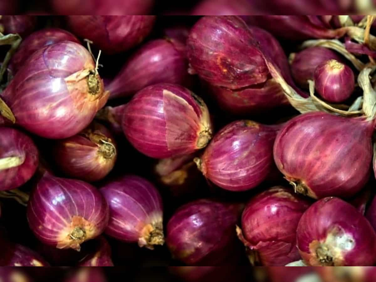 Govt buys 71,000 tons of onion for buffer stock; expects retail prices to ease with normal monsoon