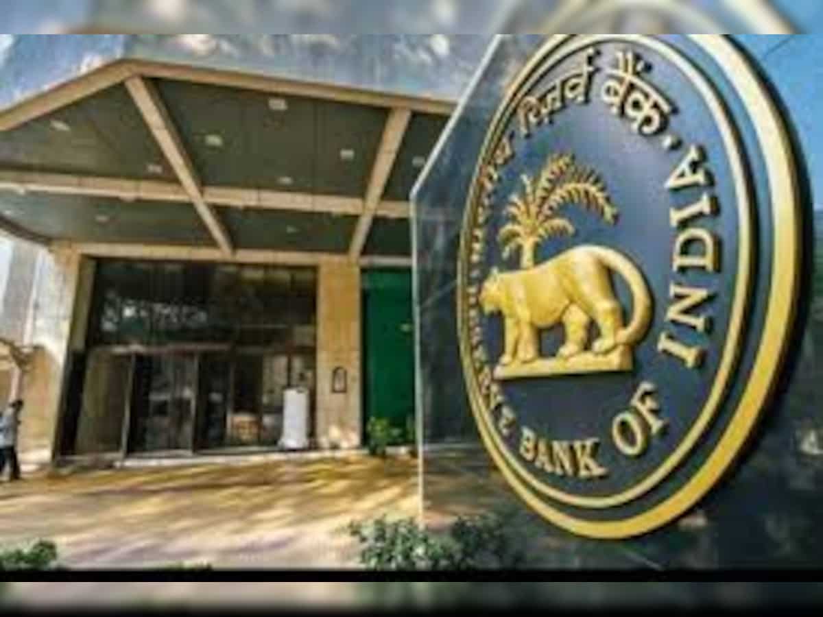 Indian economy poised for potentially stable high growth phase, says RBI's monetary policy panel member