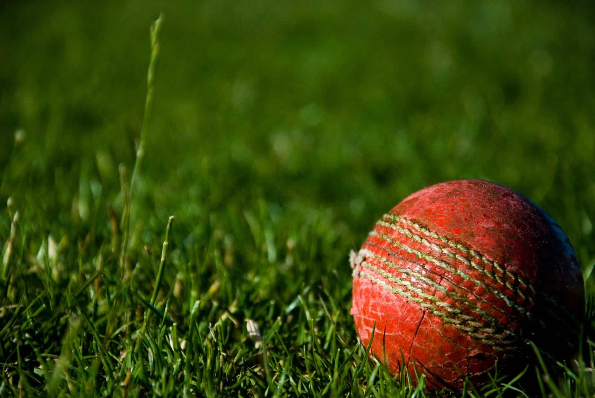 Anil Singhvi shares World Cup stock picks for your portfolio; note down his targets