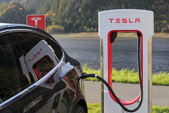 Tesla sales fall for second straight quarter despite price cuts, but