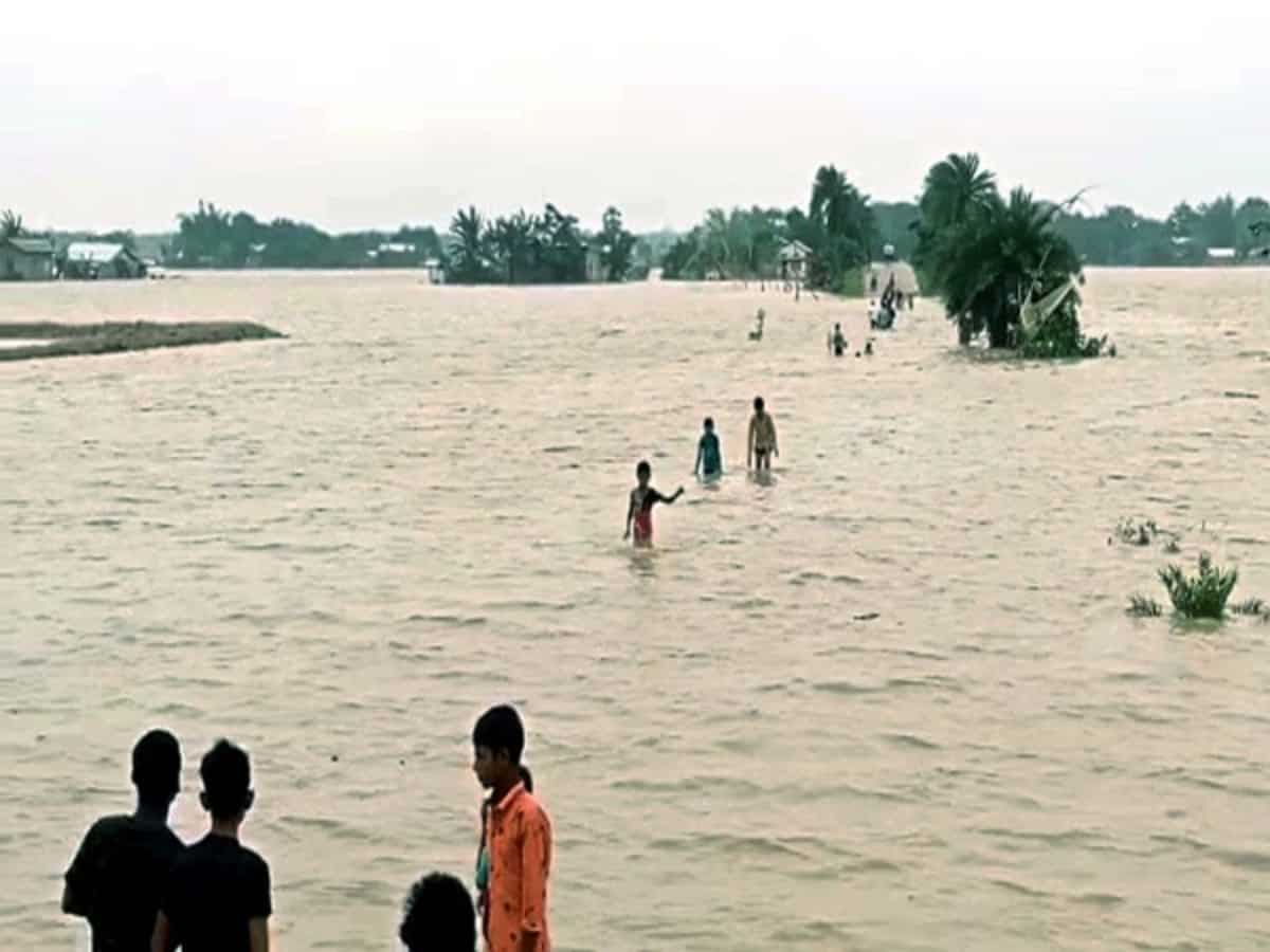 Assam flood situation remains critical, over 11.5 lakh people affected