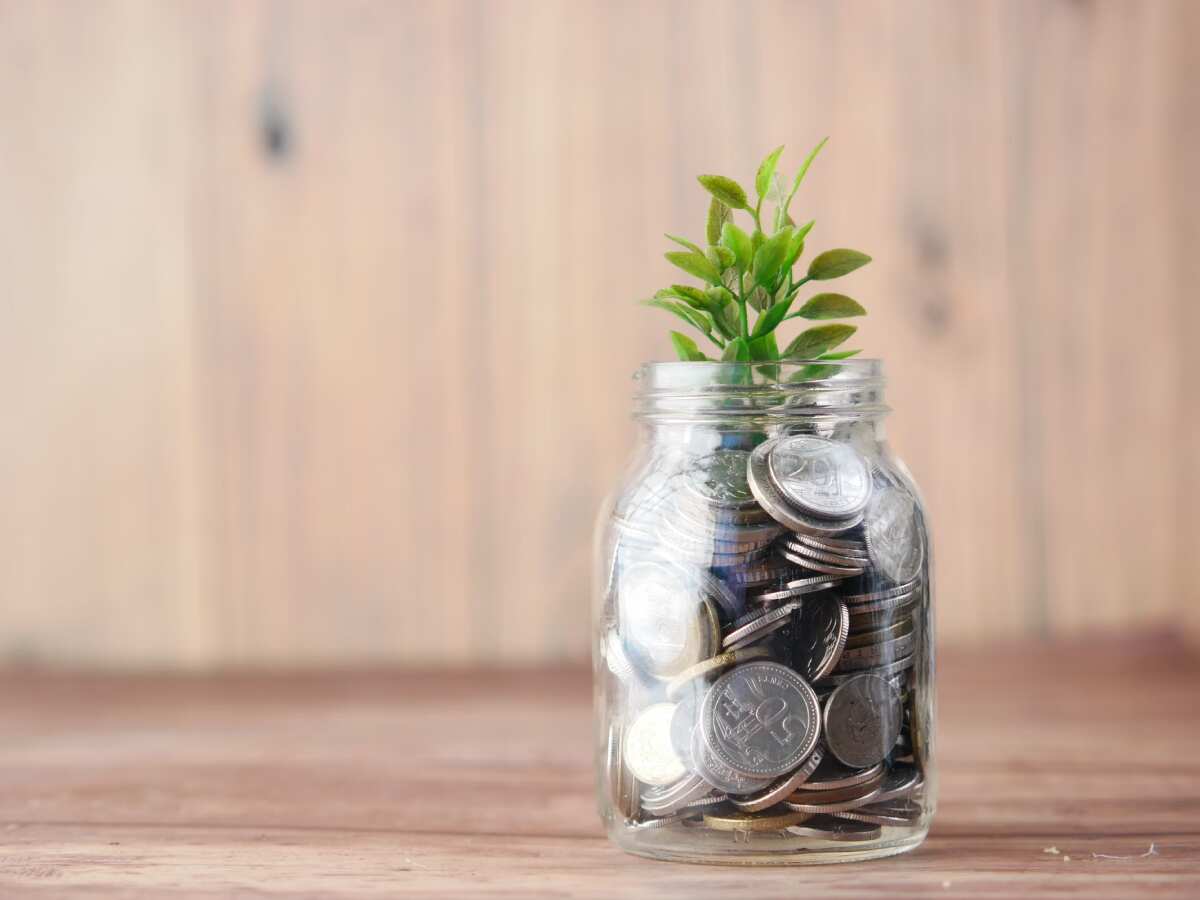 Finance Ministry declares 7.1% interest rate for Central government staff PF schemes