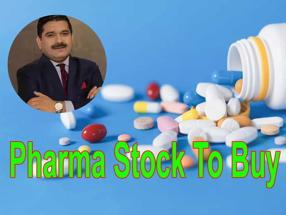 215% return in 2 years: Buy this pharma stocks before Q1FY25 results - Check target price by Anil Singhvi
