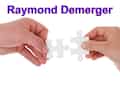 Raymond Demerger: Stock hits record high  -
