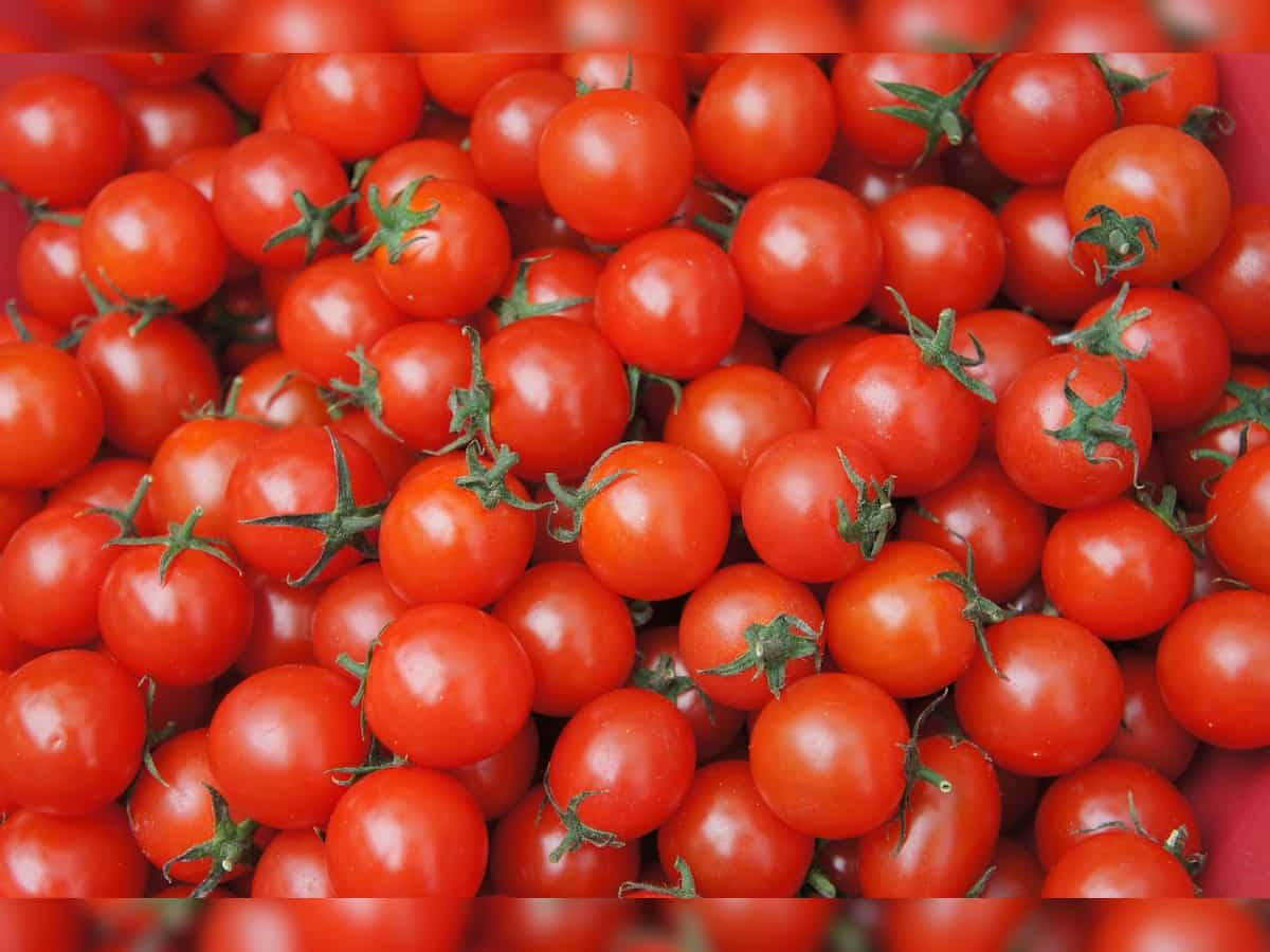 Tomatoes Price Hike: Retail prices in Delhi surge to Rs 70-80 per kg 