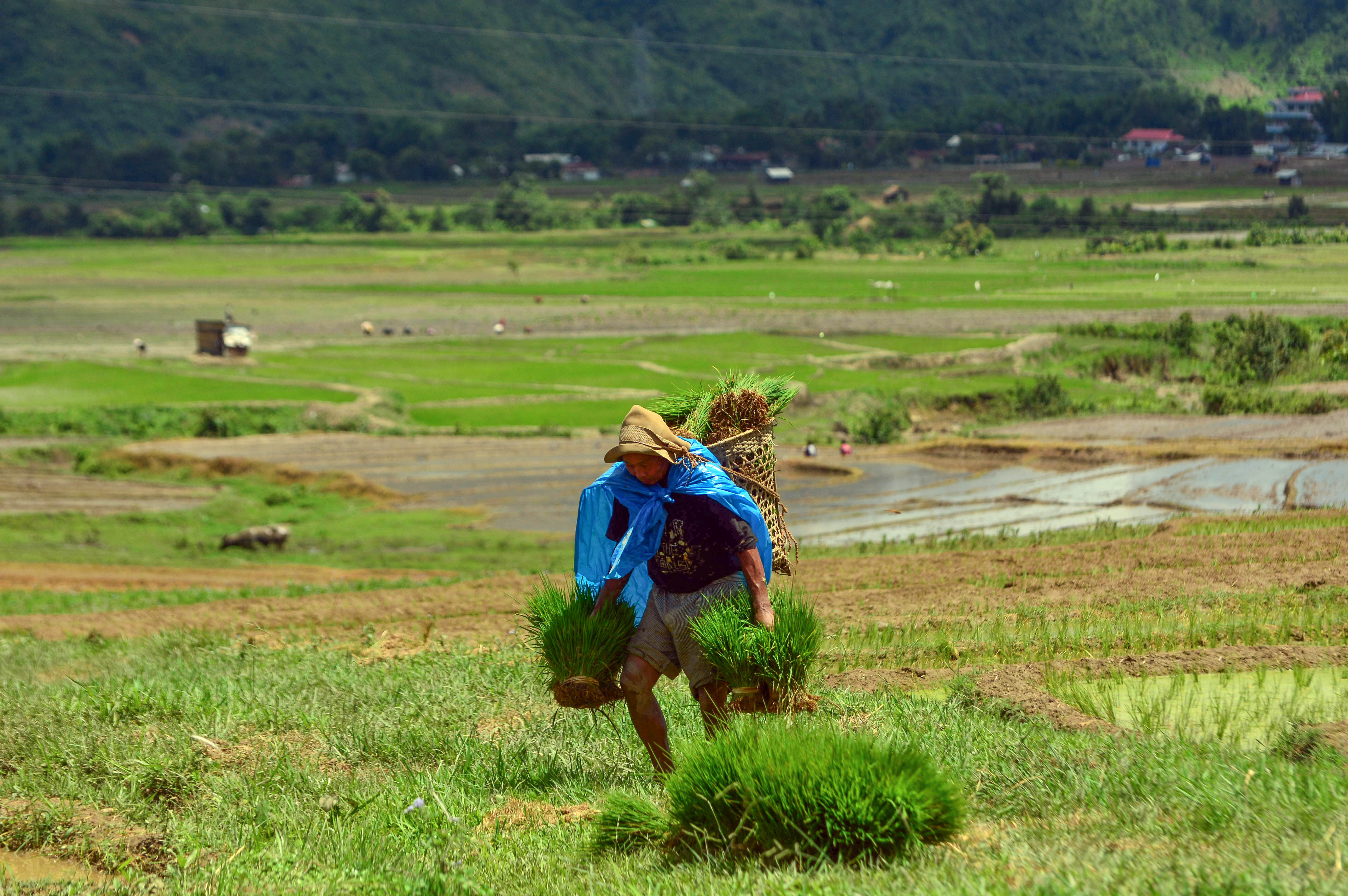 Gujarat to give 50% subsidy to farmers on