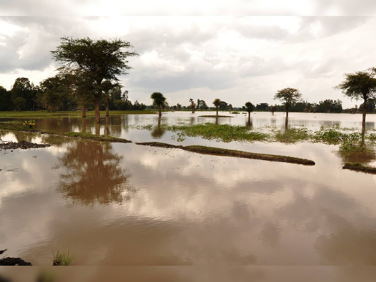 Assam floods affect 24 lakh people across 29 districts