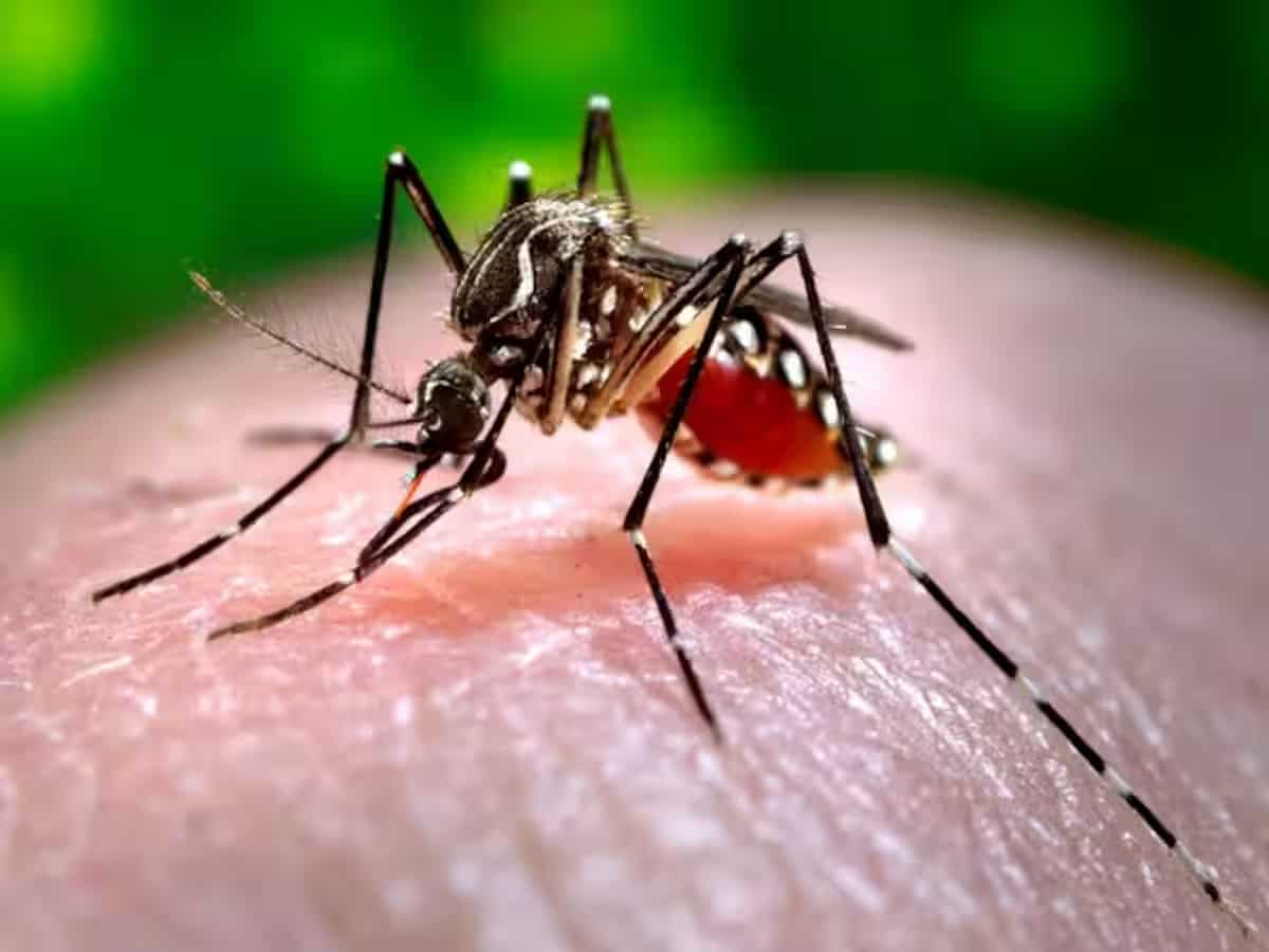 Delhi health minister reviews dengue preparedness in government hospitals