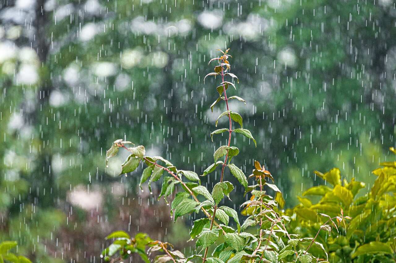 Constantly Raining Continuous rains flood Udupi, disrupt life