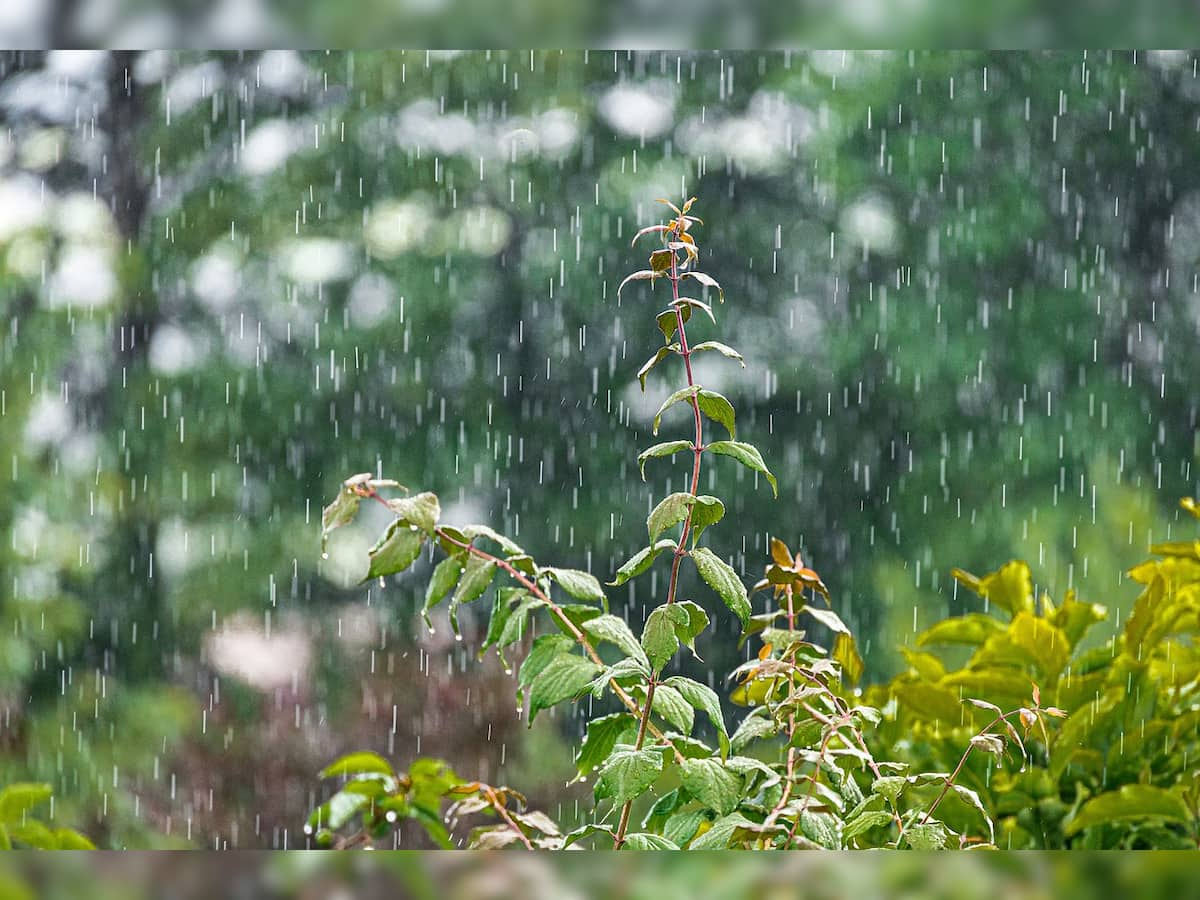 Continuous rains flood Udupi, disrupt life