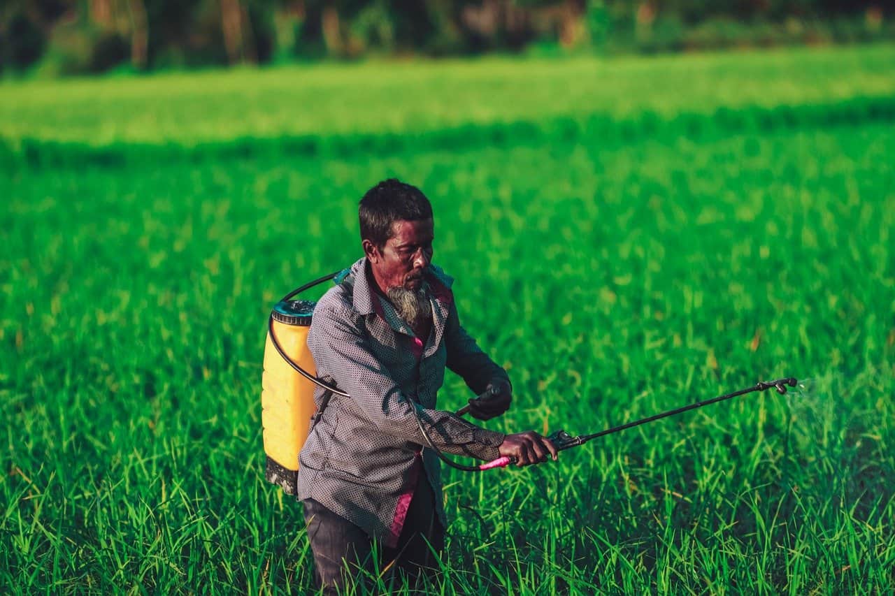 PM Kisan Chatbot answers questions in 11 languages; here's how it works