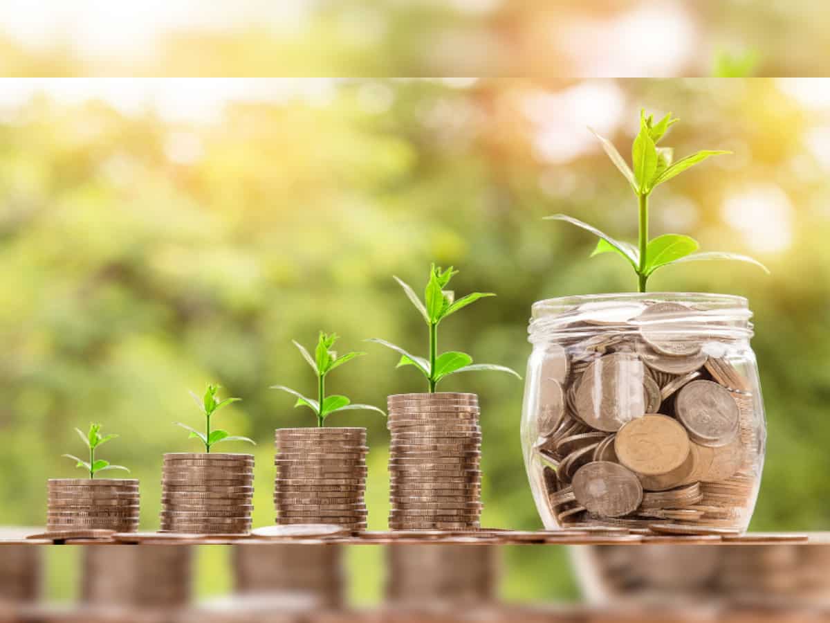 Top 5 multicap mutual funds with highest SIP returns in 5 years: Rs 20,000 monthly SIP in No.1 fund has grown to Rs 29.22 lakh; know about others