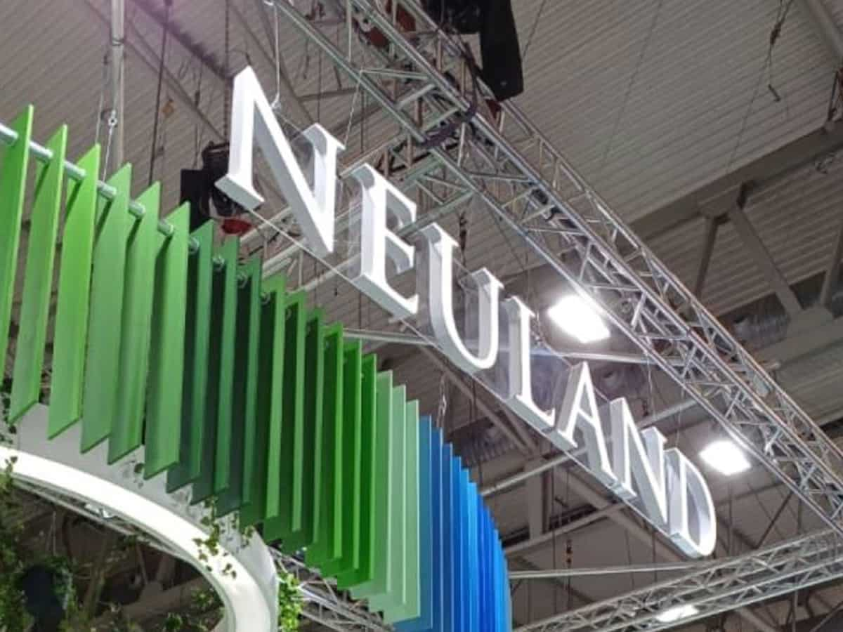 Should You Buy Neuland Labs Stock Today?