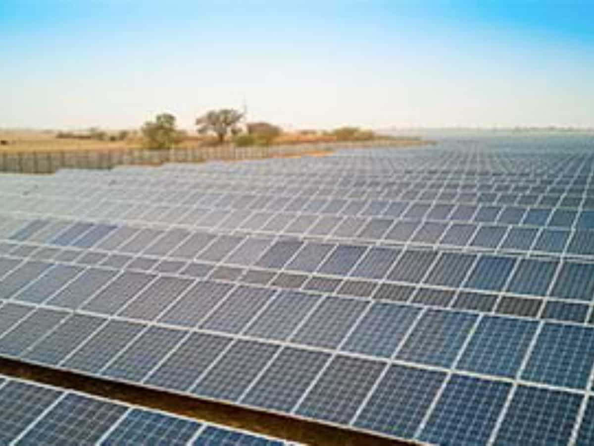 Sterling and Wilson Renewable Energy reports Rs 4.8 crore profit in Q1 