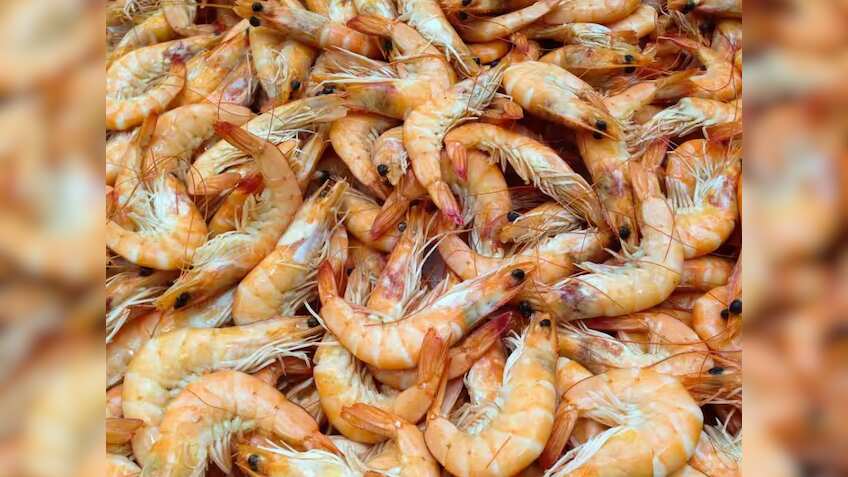 Kerala government convenes meeting to discuss US shrimp export ban