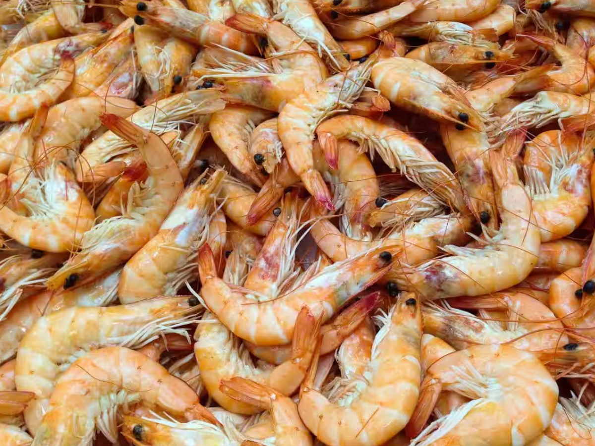 Kerala government convenes meeting to discuss US shrimp export ban
