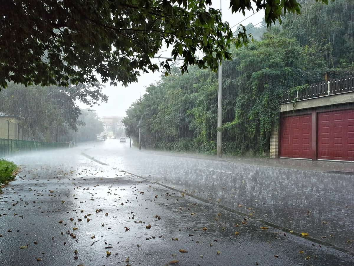 Heavy rains lash Nagpur, school holiday declared; red alert for Chandrapur