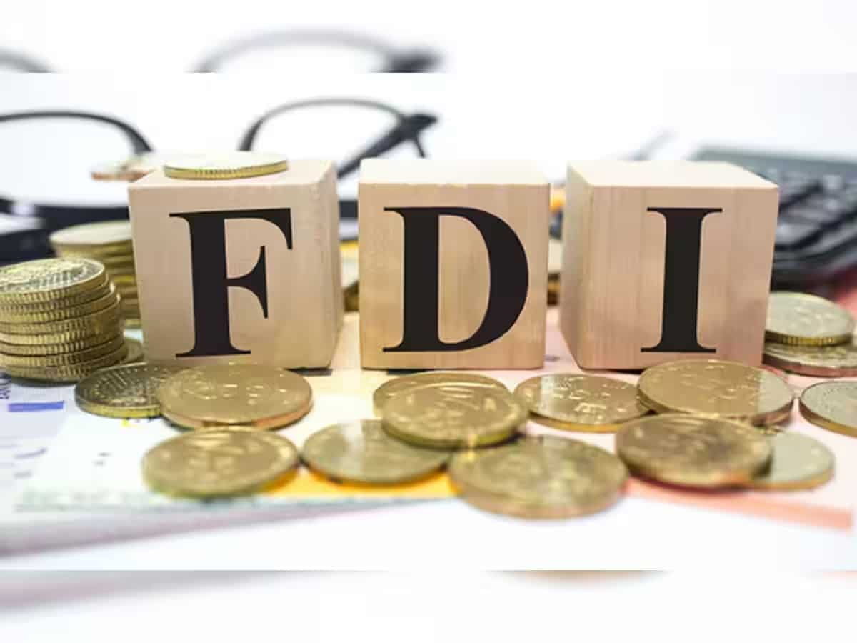 Union Budget 2024: FDI inflows from China can help India increase global supply chain participation: Economic Survey 