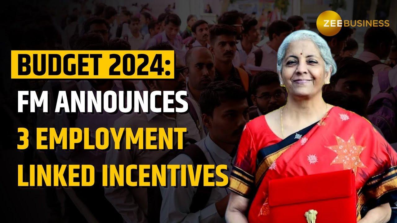 Budget 2024: FM announces 3 employment-linked incentives 